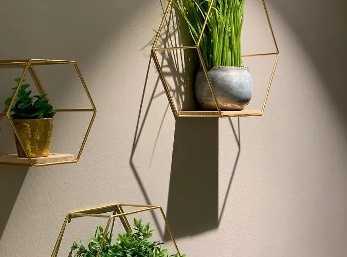 Hotel Saalbacher Hof 4*