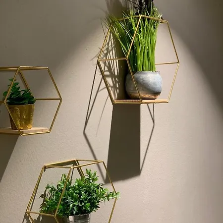 Otel Saalbacher Hof 4*