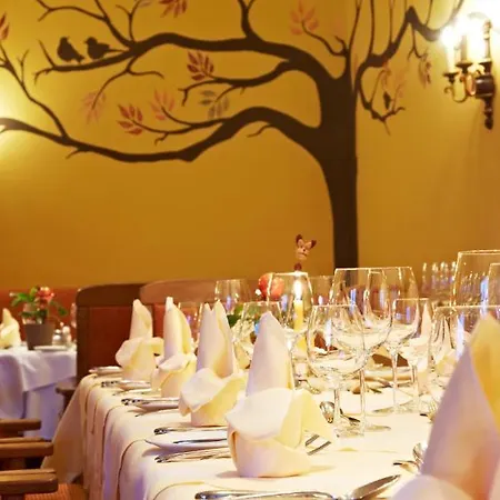 Hotel Saalbacher Hof